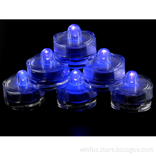 Portable LED Lights/LED Floralyte for Christmas